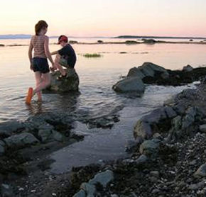 Bord de mer