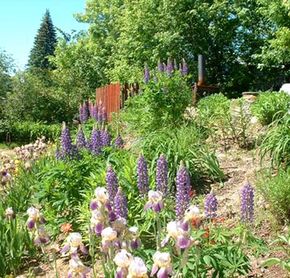 Jardin du Gîite