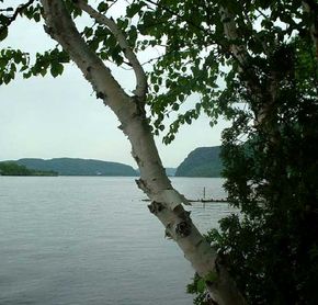 Vue à proximité