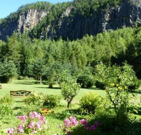 Garden view