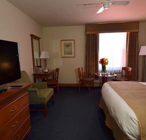 1 bed room