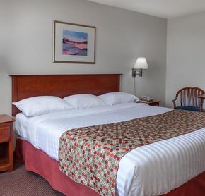 Room King Bed