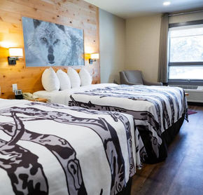 Two beds room
