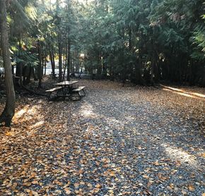 Cedar Falls Campground, Vernon