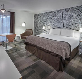 One bed room
