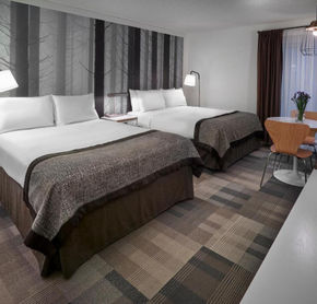 Two bed room