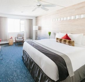 1 king srtandard room