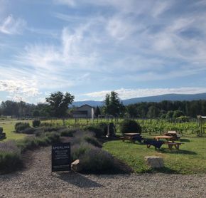 Sperling Vineyards - Okanagan