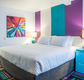 One King bed room