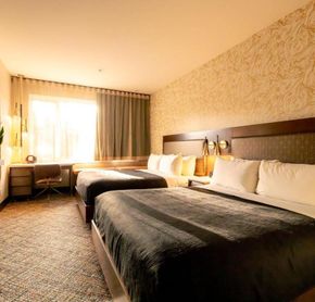Zed Room, 2 queen beds
