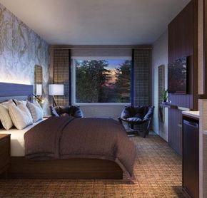 Zed room, 1 king bed