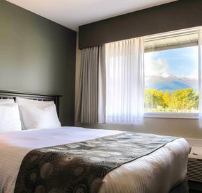 Room Queen Bed