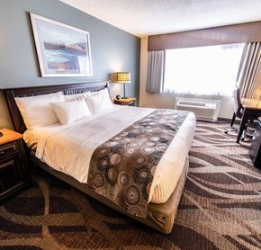 Room King Bed