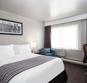 1 queen bed