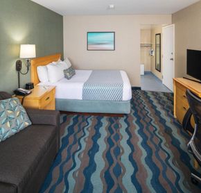 Standard room, 1 king bed