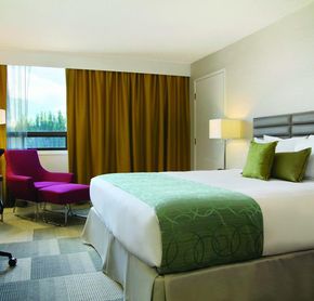 King Room