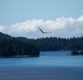 Near the Prince Rupert Prestige Hotel