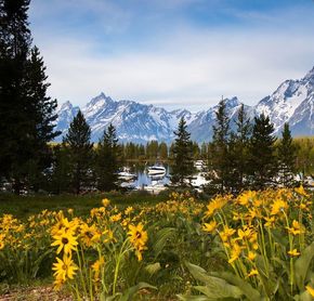 Vue impressionnante sur les montagnes