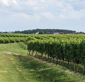 Vignoble Harvest Hosts