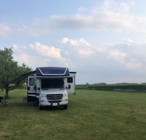 Camping dans un vignoble