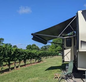 Dormir dans un vignoble