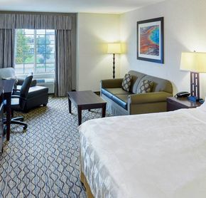 1 bed guest room