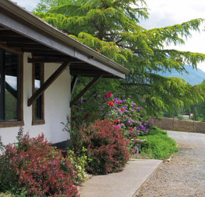Paradise Village Hotel