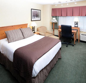 Guest room
