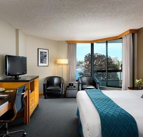 1 king room