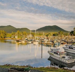 The marina