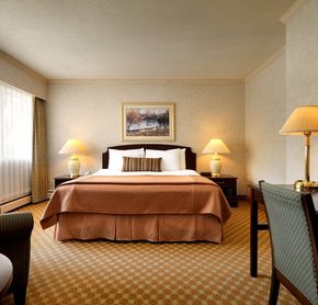 King Guestroom