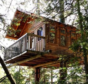 Cabane dans les arbres - Cap Jaseux