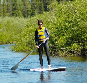 Paddle Board