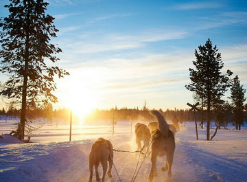  5 bonnes raisons de ne pas voyager au Québec cet hiver
