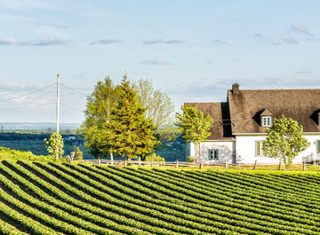 A practical guide to visiting Île d'Orléans in Quebec
