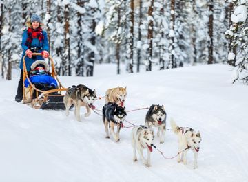 The 5 best places to go dog sledding in Quebec