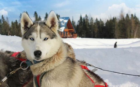5 must-do winter activities in Quebec 