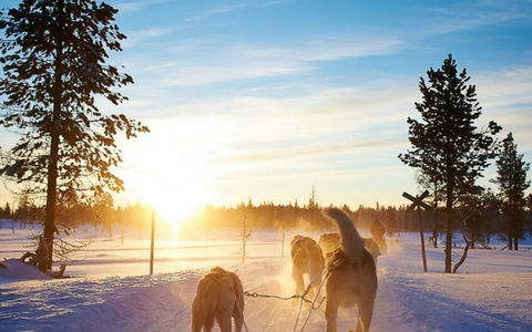  5 bonnes raisons de ne pas voyager au Québec cet hiver