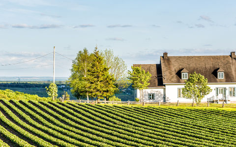 A practical guide to visiting Île d'Orléans in Quebec