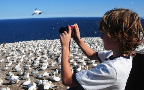 5 ideas to entertain the kids on a Quebec road trip