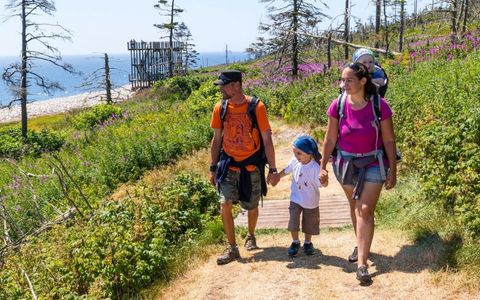 Circuit en famille en Gaspésie