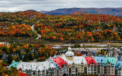The best road trip to experience Indian Summer