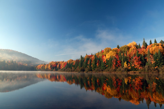 Rivière et forêt aux couleurs d'automne au Québec