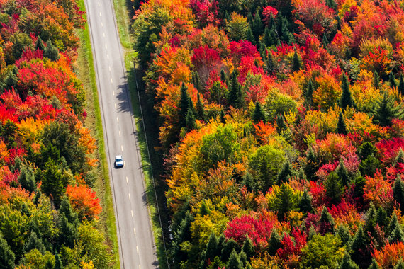 Route traversant les forêts du Québec à l'automne