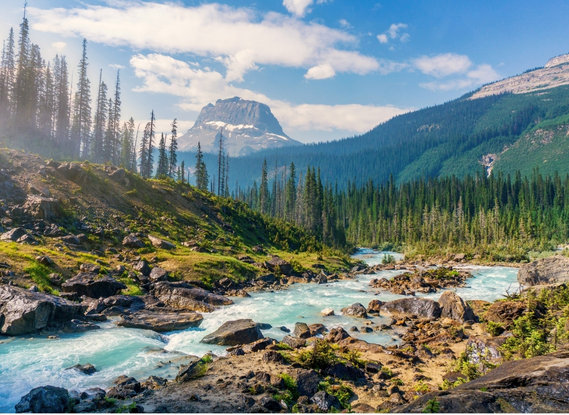 Rivière sauvage au Canada