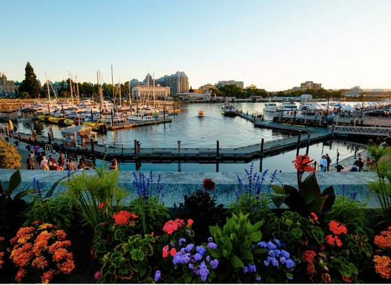 Port de plaisance dans l'Ouest du Canada