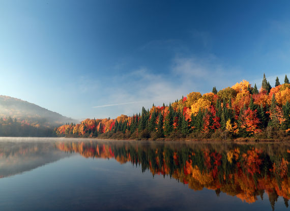 Rivière et forêt aux couleurs d'automne au Québec