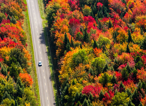 Route traversant les forêts du Québec à l'automne