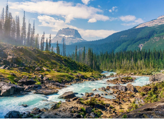 Rivière sauvage au Canada