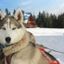 5 must-do winter activities in Quebec 
